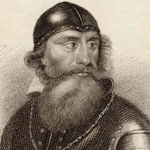 An image of Robert the Bruce